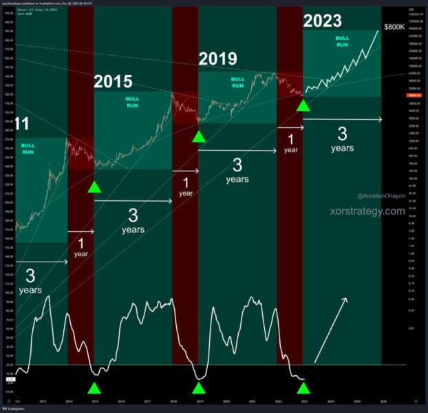 11 15 newsletter bitcoin bull run chart