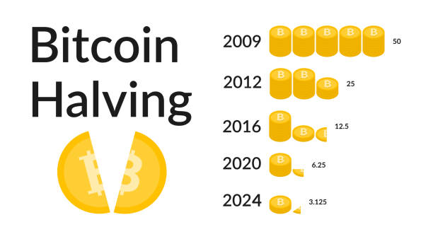 Bitcoin halving newsletter 4 3 Bitcoin Halving 2024. When is next bitcoin halving. Block reward reduced in two times. Deflationary currency. Vector illustration isolated on white background